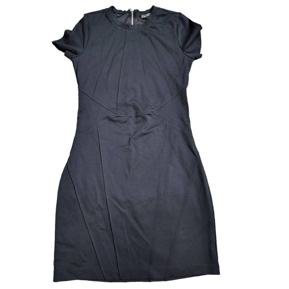 Express Seamed Mini Dress
